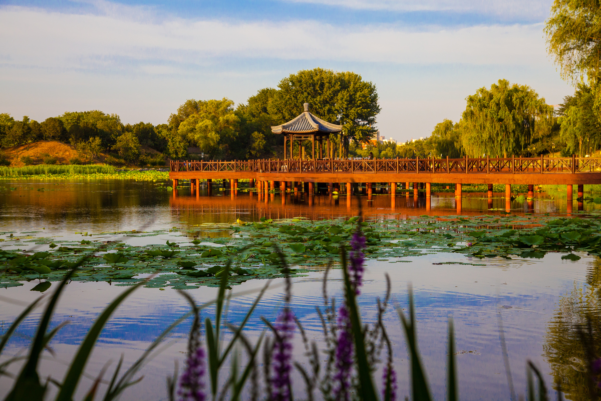 由圆明园及其附园长春园和绮春园(后改名万春园)组成,也叫圆明三园,有