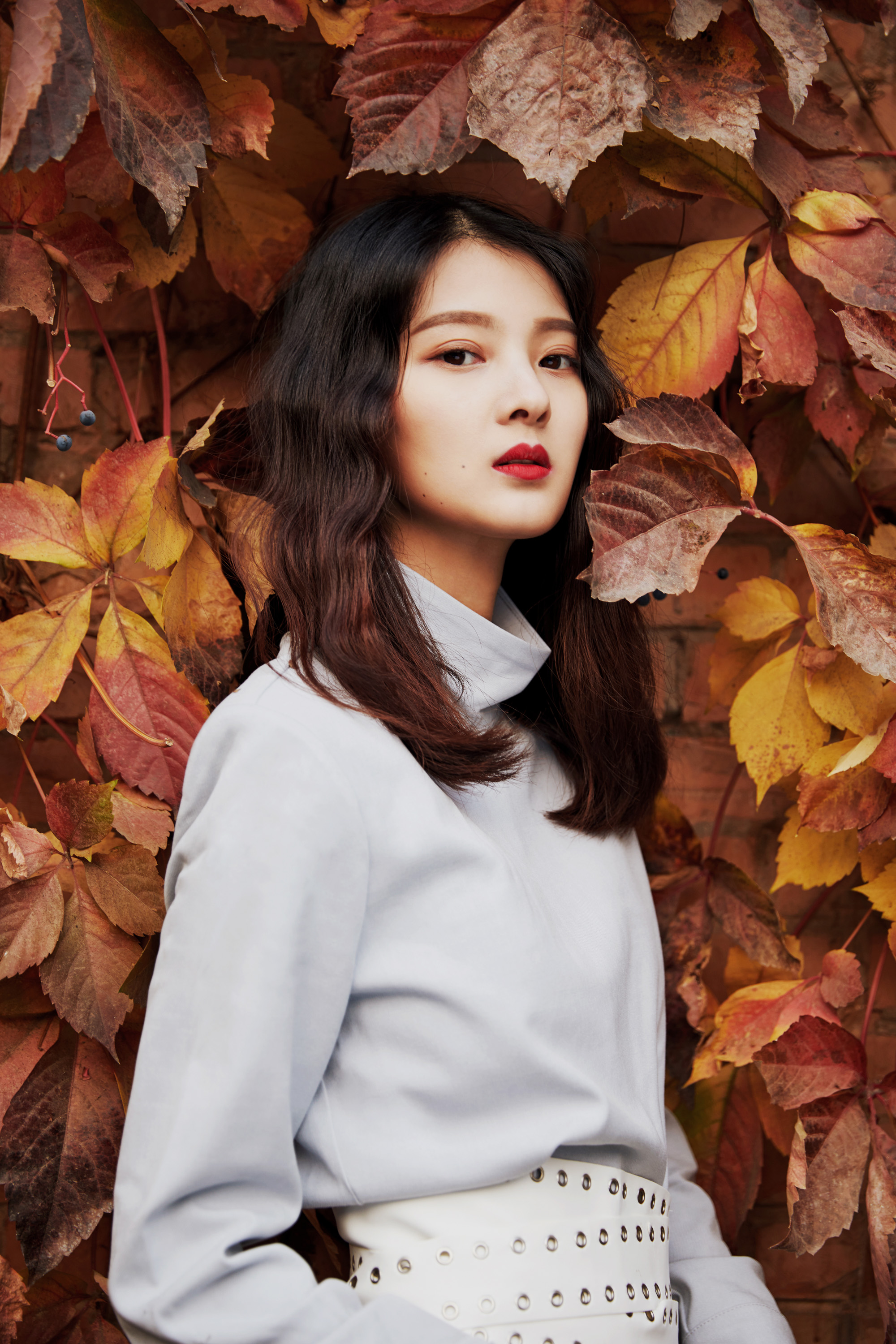 苗刘美人甄弱陈欣孺王总张大宝主演表角色表白灿烂剧照赵阳光剧照徐梓