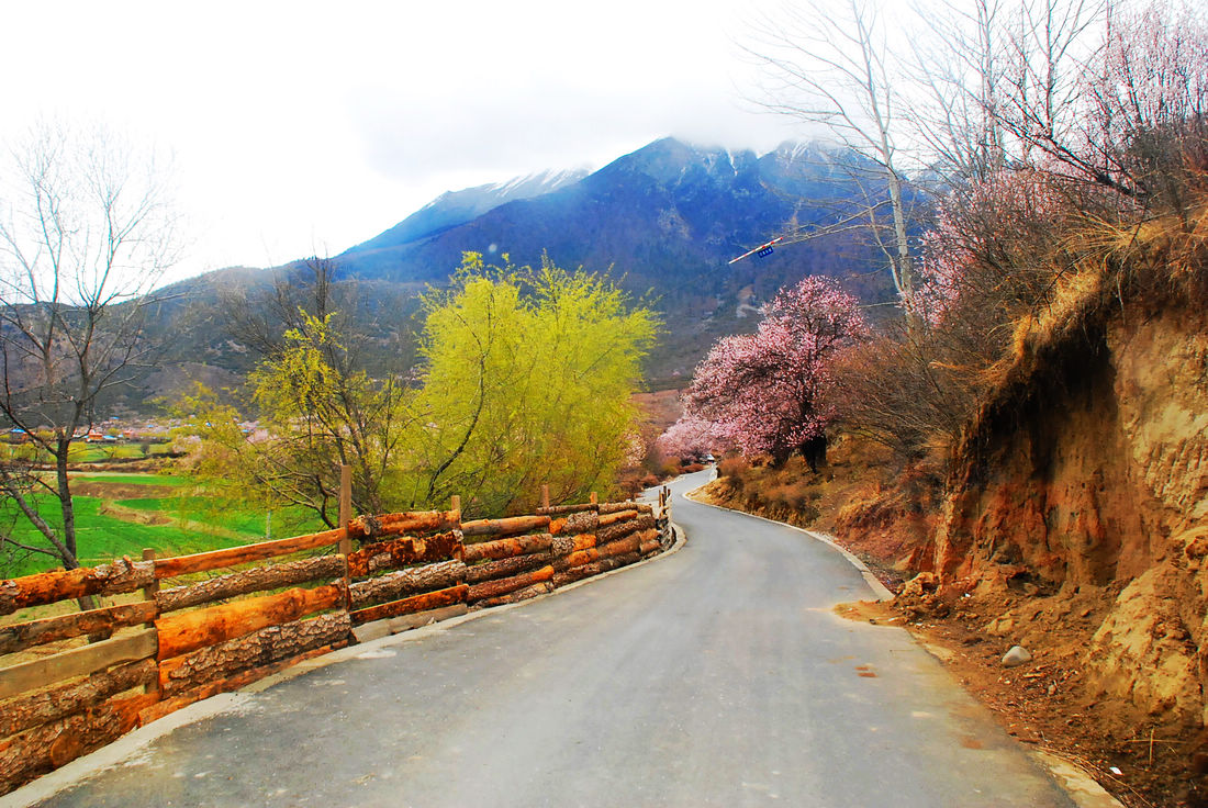 雅鲁藏布大峡谷