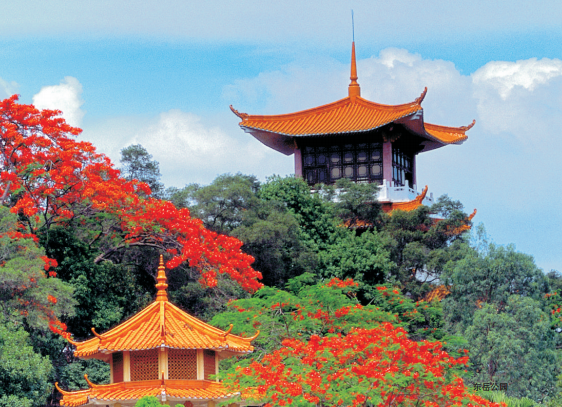 东莞茶山