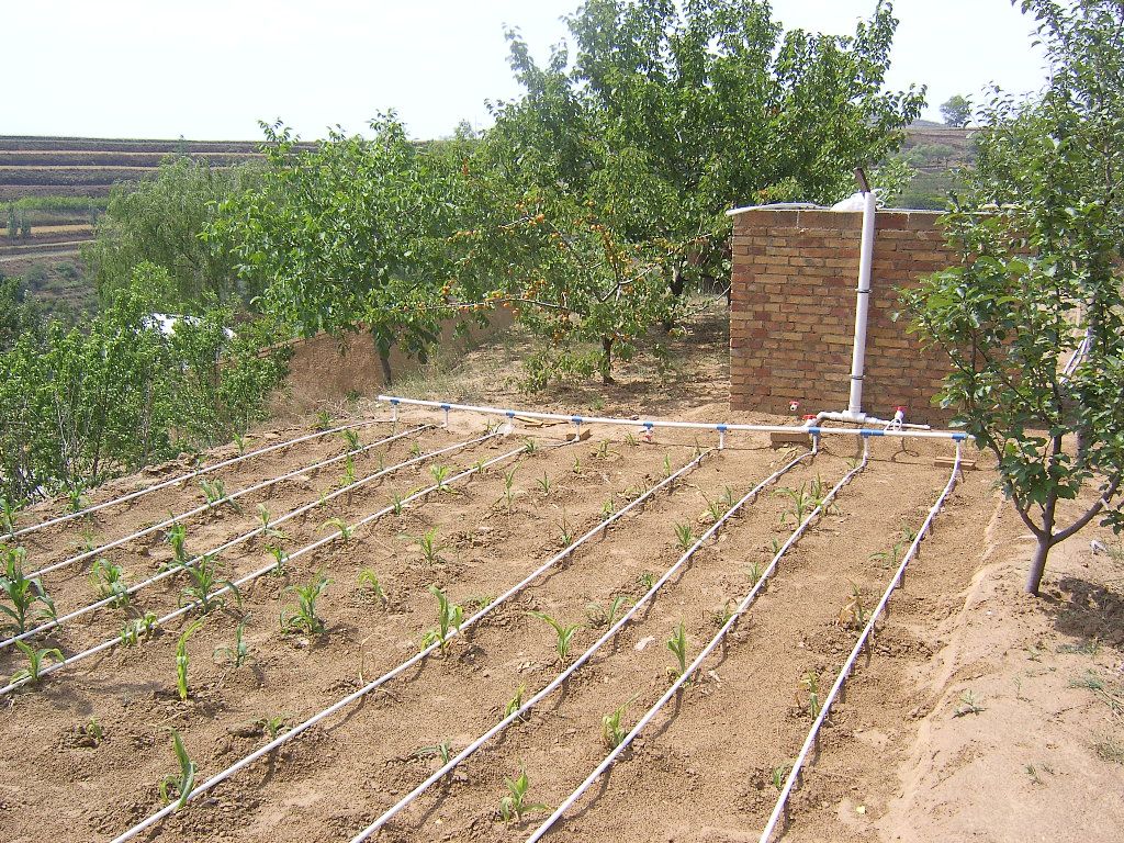  p>滴灌(drip irrigation)是利用 a href="#" data-lemmaid="5683728"