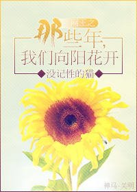 网王之那些年我们向阳花开