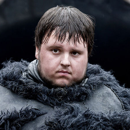  p data-id="gnwle1gd3a">守夜人军团(英语:nights watch),是 乔治