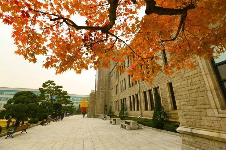  p>东国大学(               ,dongguk university),简称"东大(dgu)"