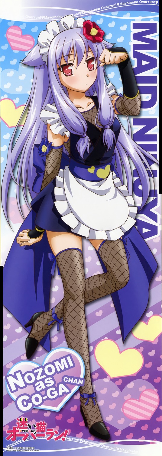  p data-id="go0qv4uqrt">电视动画《娇蛮猫娘大横行!