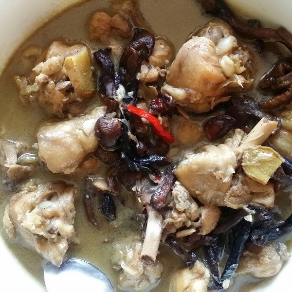 炖野蘑菇鸡汤