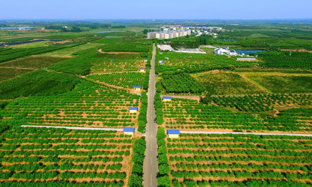  p data-id="gnb3oz34ju">大官亭镇,隶属于 a target="_blank" href="