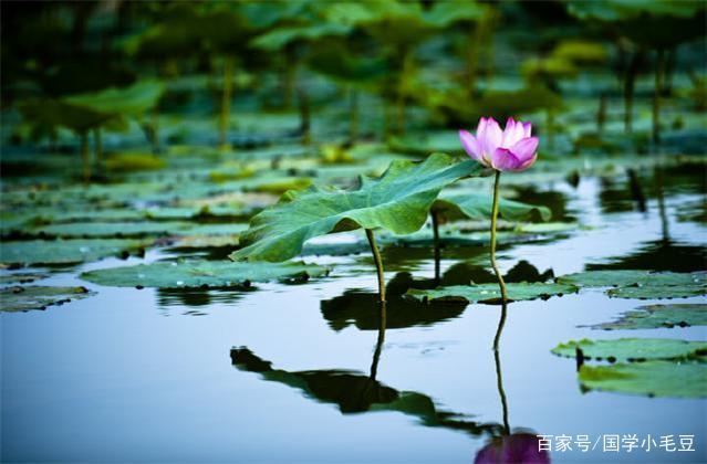 《庄子》十句经典格言，感悟人生智慧_百科TA说