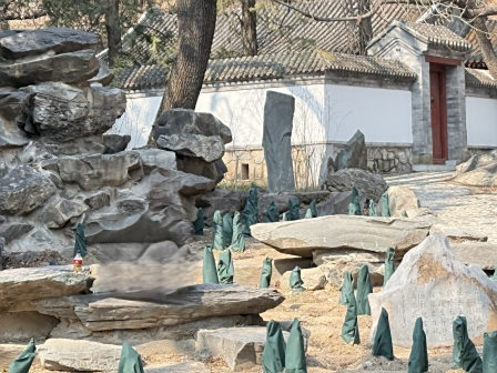国家植物园 凯西娘娘/摄