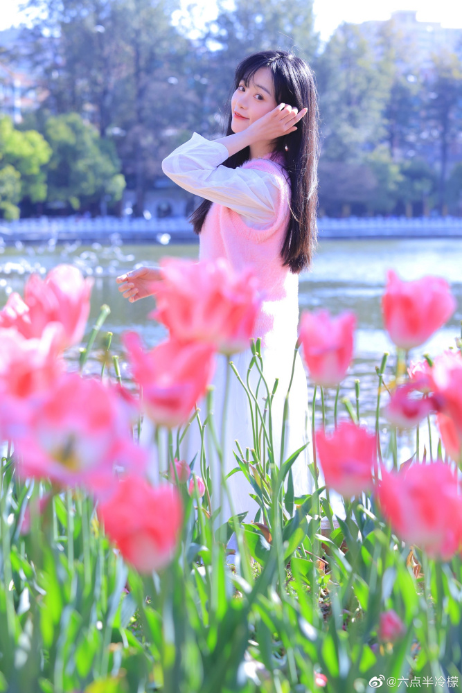 冷檬_百度百科