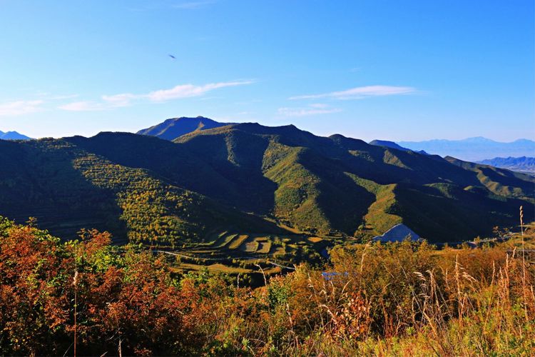  p>王家楼回族乡,隶属于河北省张家口市怀来县,地处 a target="_blank