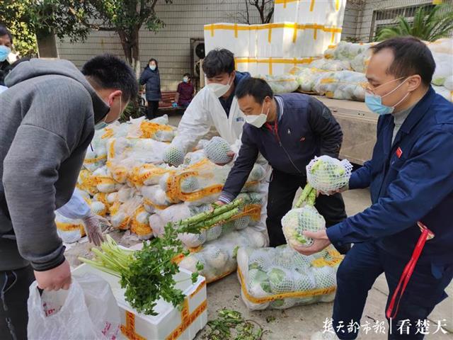 「武汉日记」分发爱心蔬菜，136吨！_百科TA说