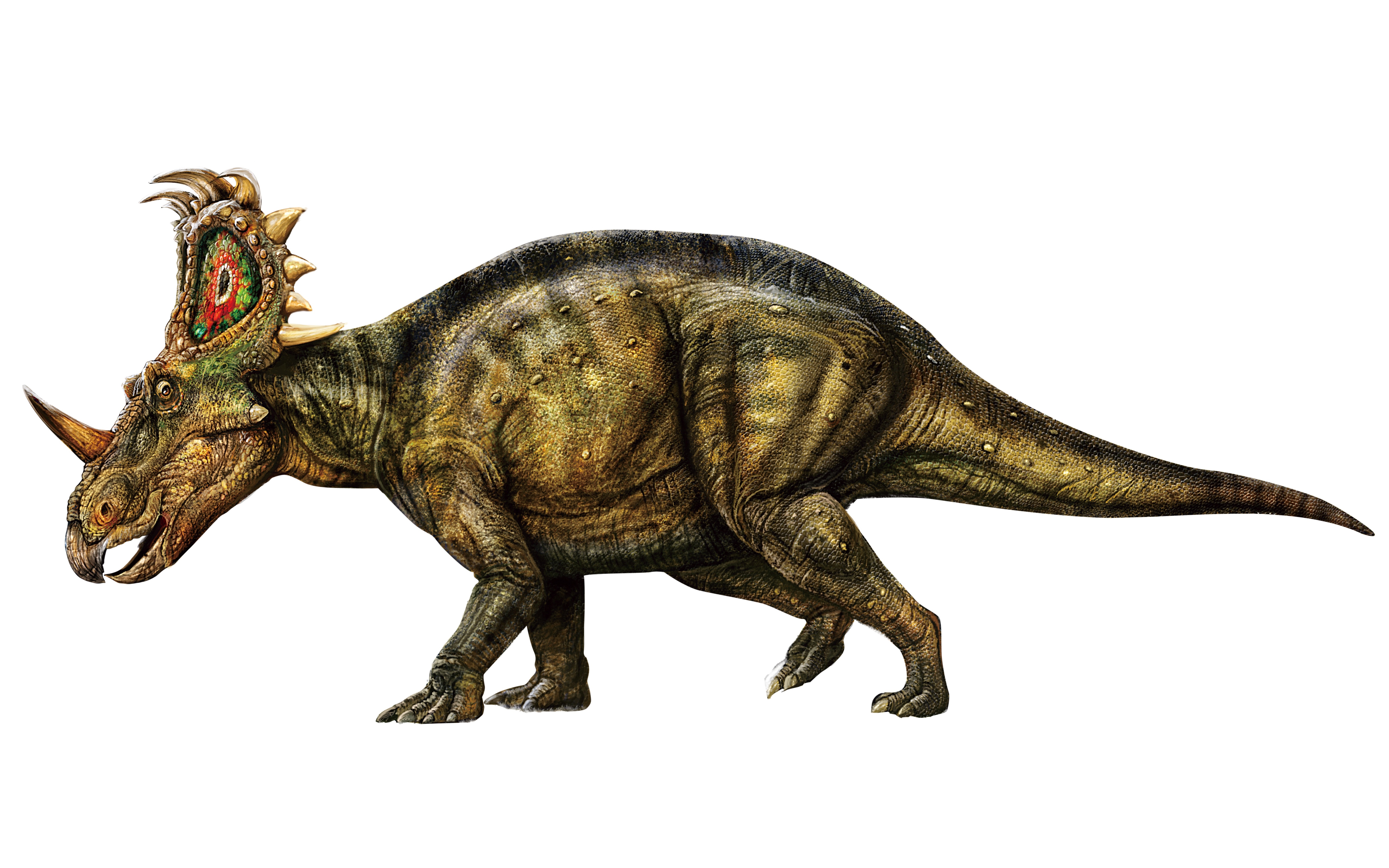  p data-id="go0g8xcrge">中国角龙属于爬行纲恐龙总目的动物.