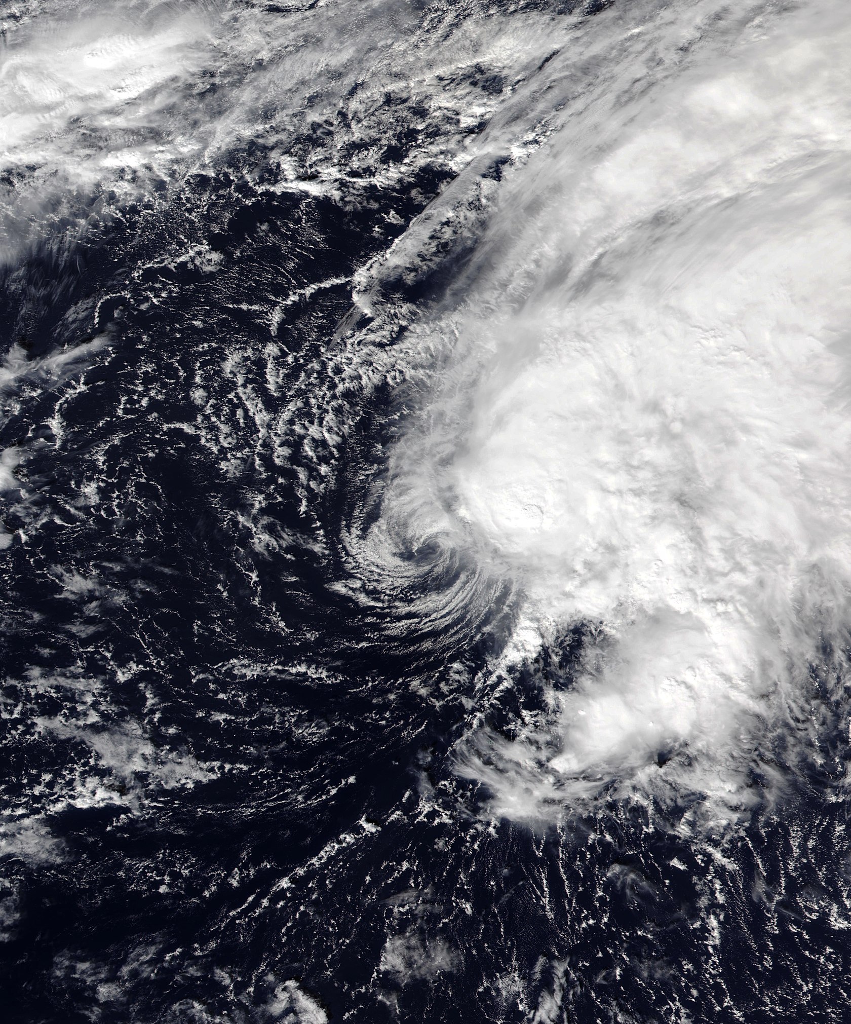 2022年太平洋台风季