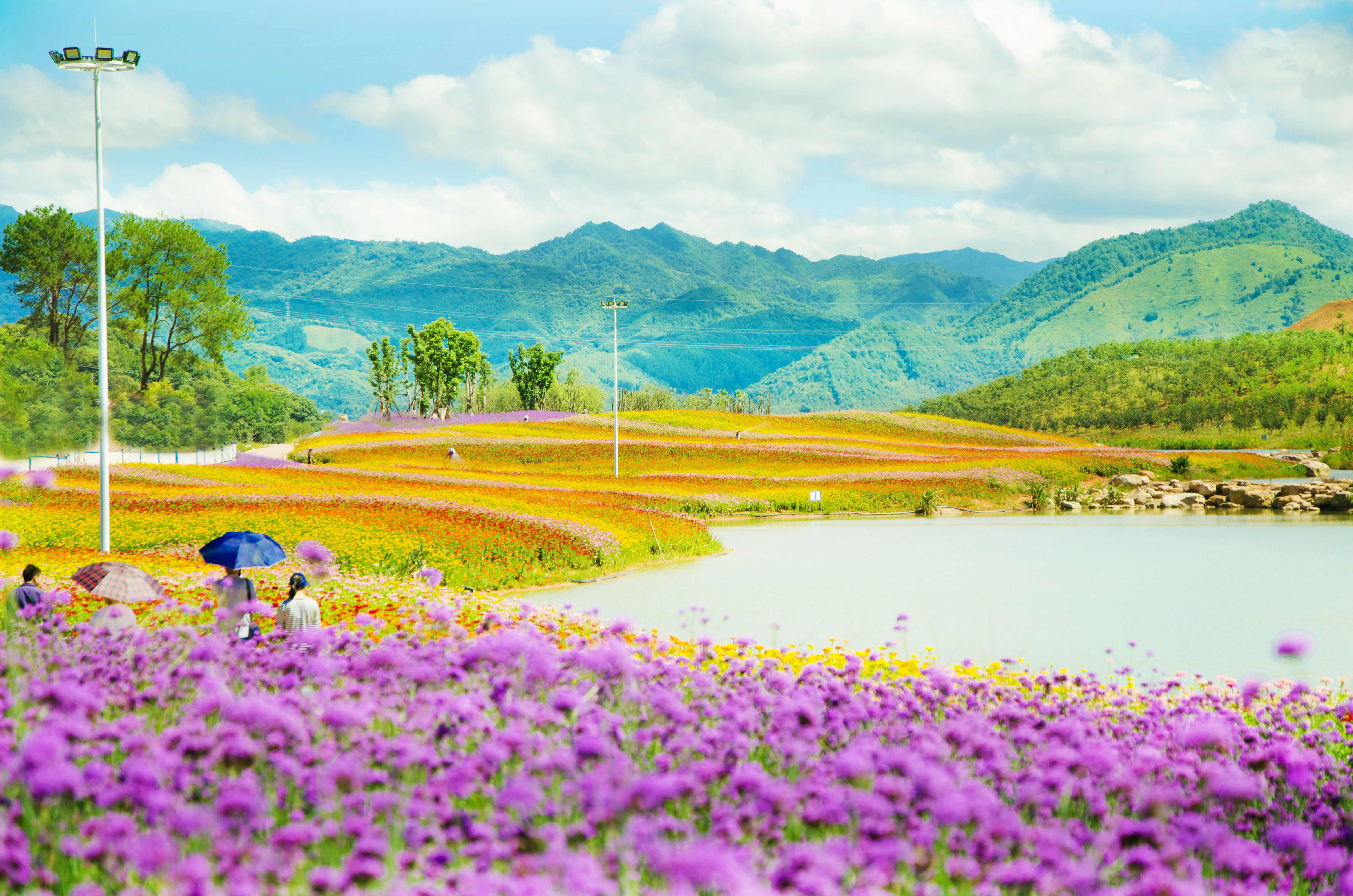 龙岩紫金山公园