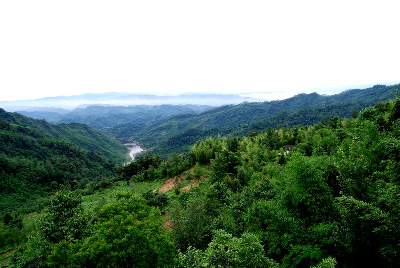 沐川国家级森林公园