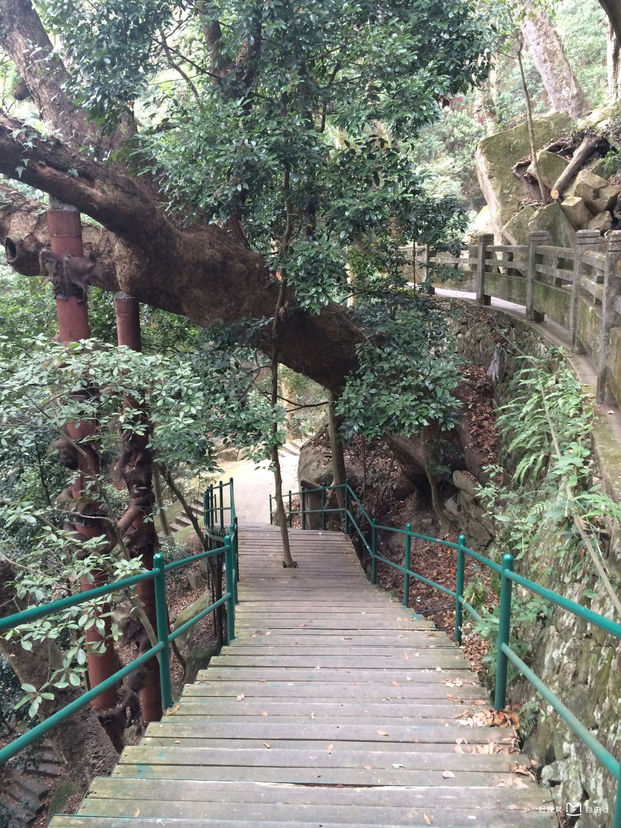 福州市涌泉寺