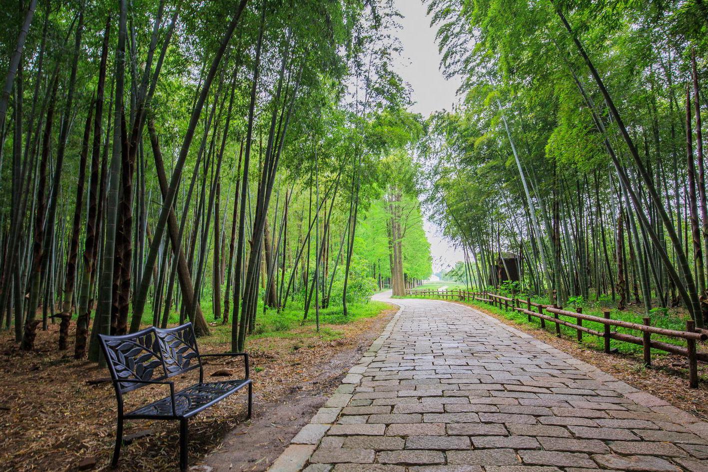 data-lemmaid="31895">大竹 /a>县东部,俗称"竹海公园"