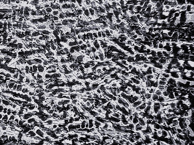 亚共晶白口铸铁