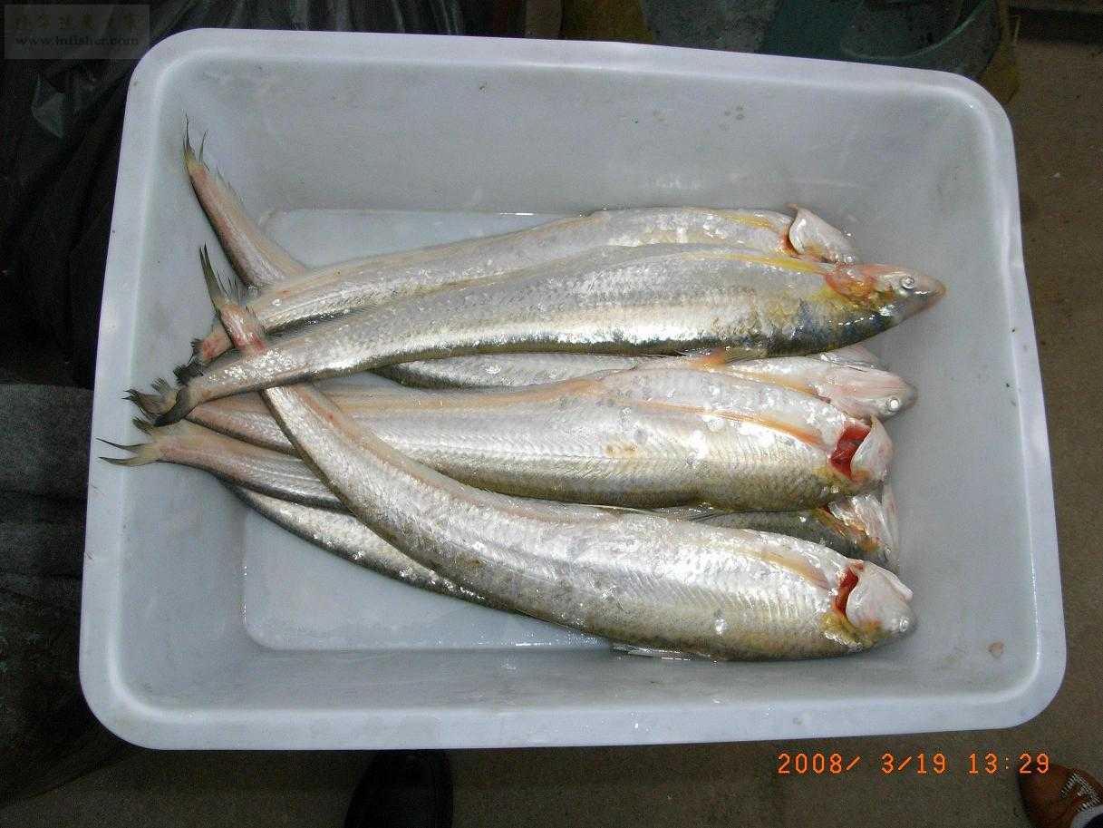 href="/item/长江/388" data-lemmaid="388">长江 /a>生长的四种鱼