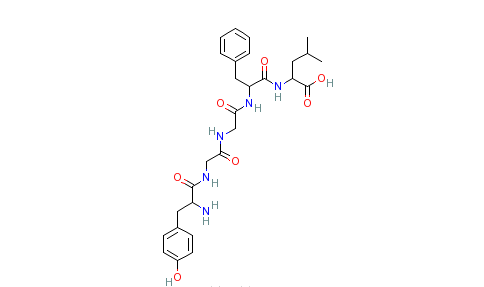 亮氨酸脑啡肽