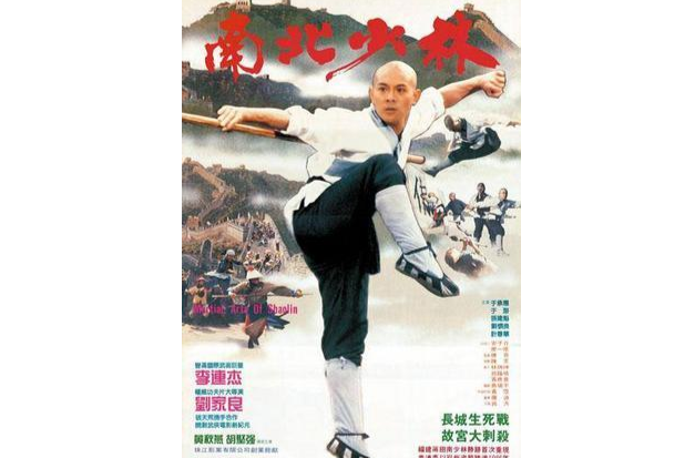  p data-id="gnc0wl16ff">《南北少林》是由邵氏电影,珠江影业联合