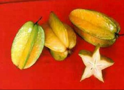 《画杨桃》是 a target="_blank" href="/item/岑桑/7574243" data