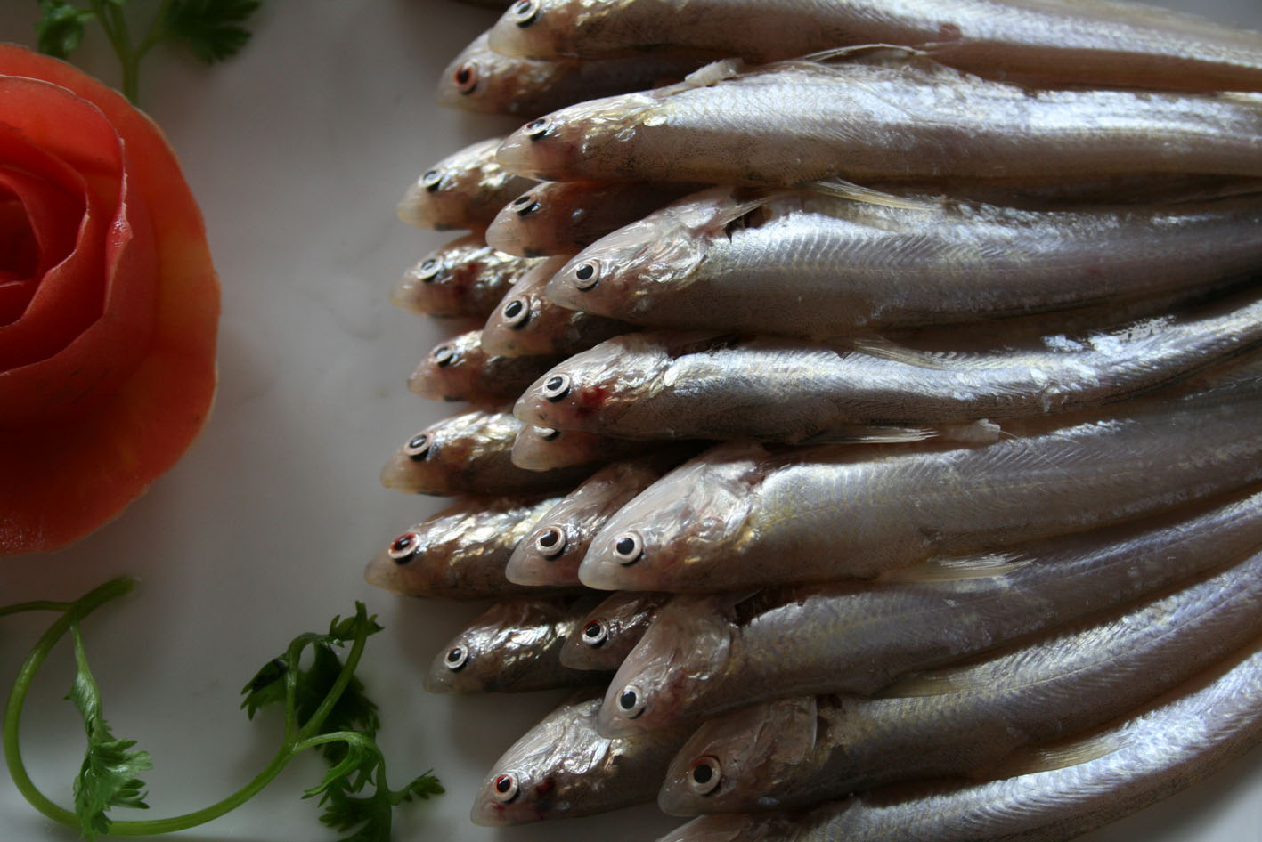  p>俗称"子鲚 ",又称"鲚鱼",属名贵的经济鱼类.