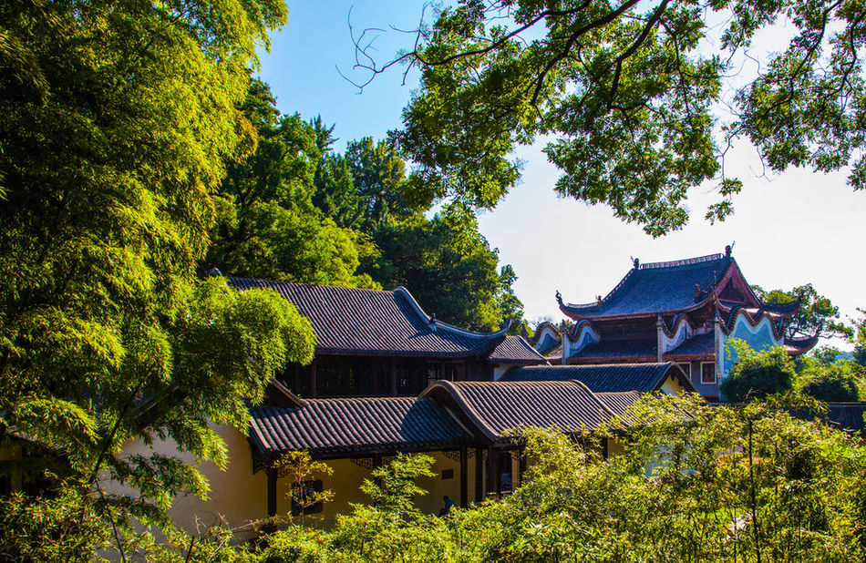 湖南大学岳麓学院