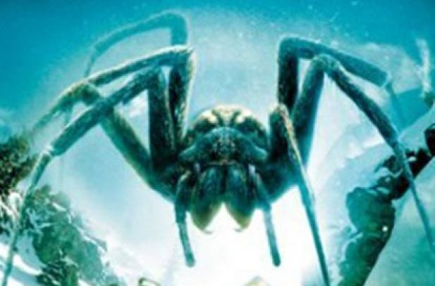  p>《冰冻蜘蛛》是 a>蒂波尔·塔卡克斯 /a>执导, a href="#" data