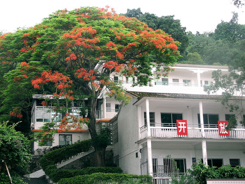  p>潮州市高级实验学校创办于2005年,位于风景秀丽的潮州西湖学校所在