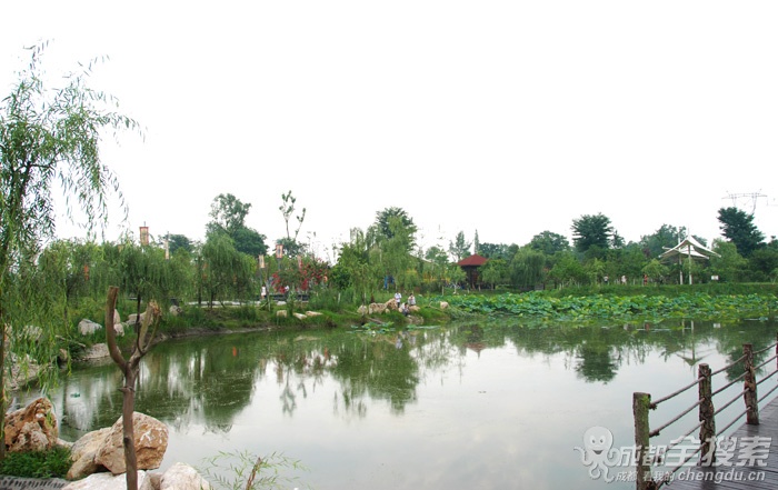 成都市西江月农业生态观光有限公司