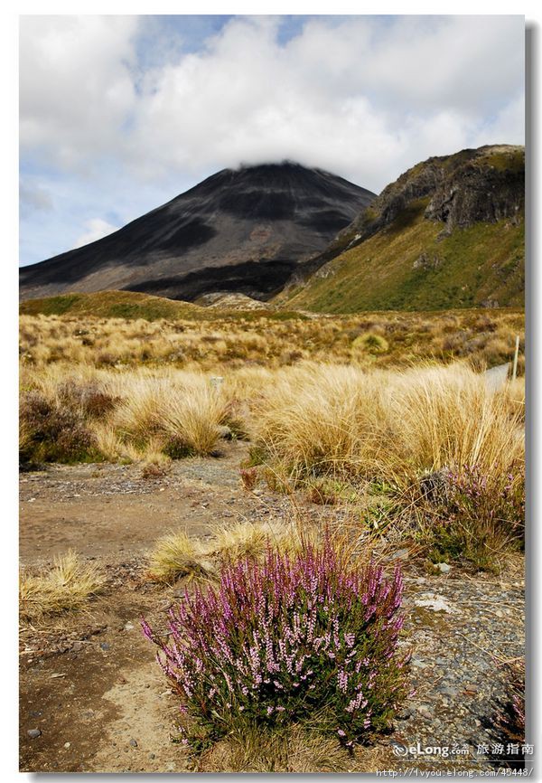  p>新西兰(英语:new zealand),又译纽西兰.