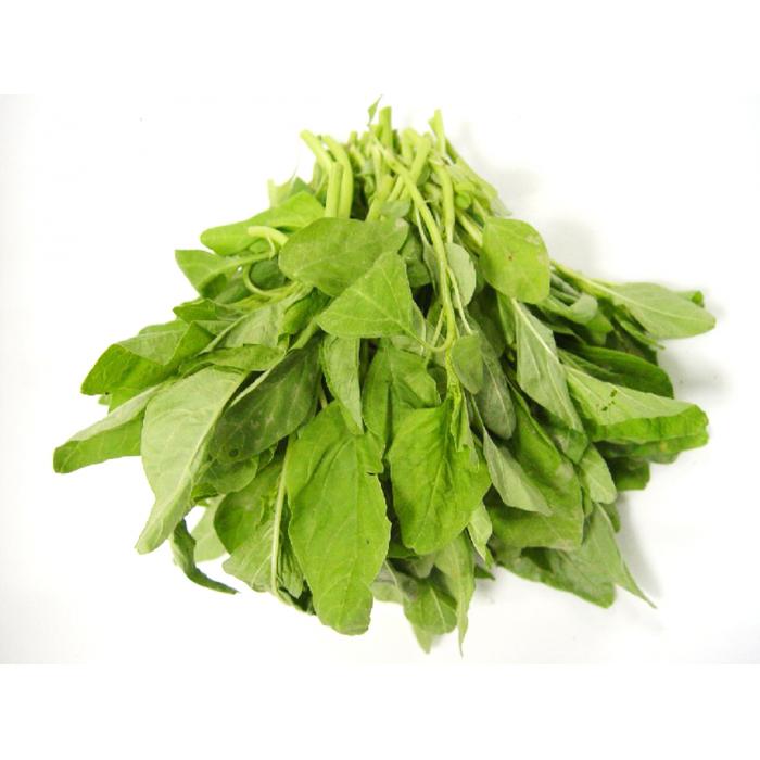 红麻菜就是野苋菜(人荇菜,红麻菜)别名假苋菜,土苋菜,刺刺菜,野