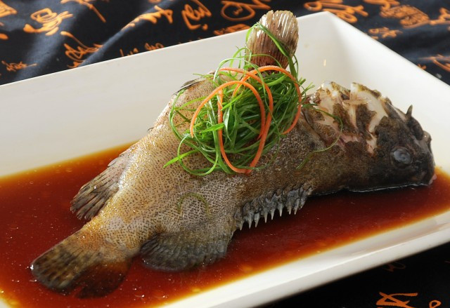  /p> p data-id="go0f5vfir2">龙胆鱼又称 