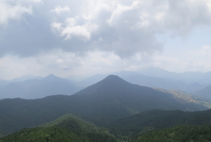浙江永嘉四海山森林公园
