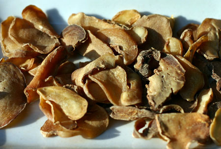  p>制南星为 a href="#" data-lemmaid="6416255">禹南星 /a>,又称会