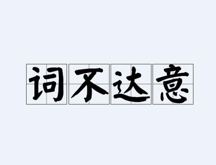 词不达意