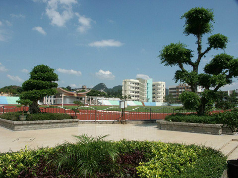  p data-id="gnvhaese9a">柳州铁路第一中学(liuzhou tieyi high
