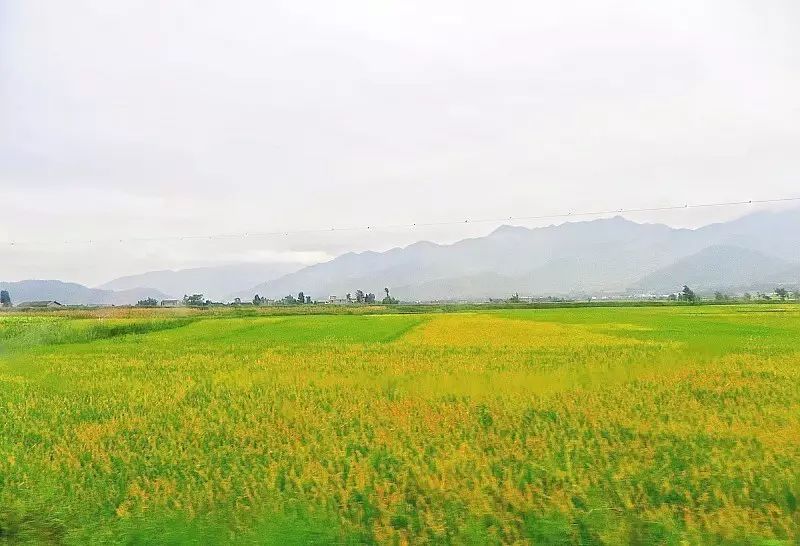 data-lemmaid="15626925">四川省 /a>凉山彝族自治州西昌市,地处 a