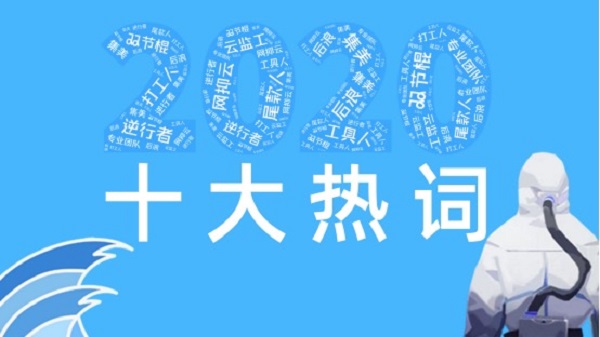 2020年十大网络热词