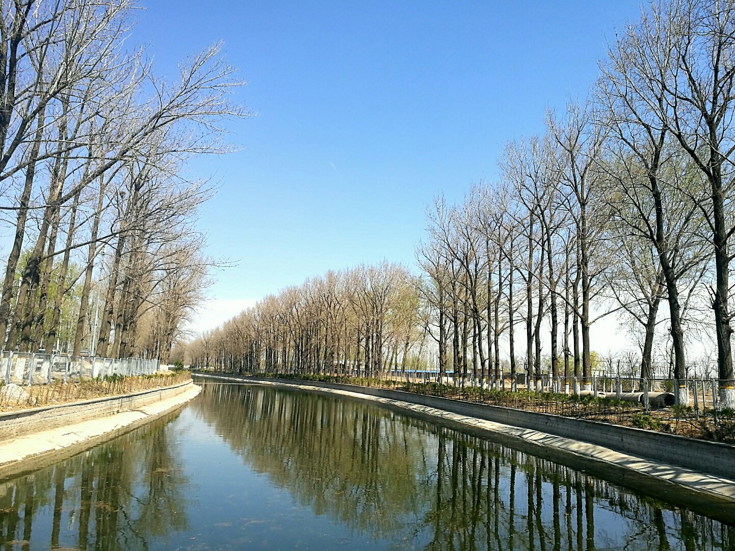 阳坊镇