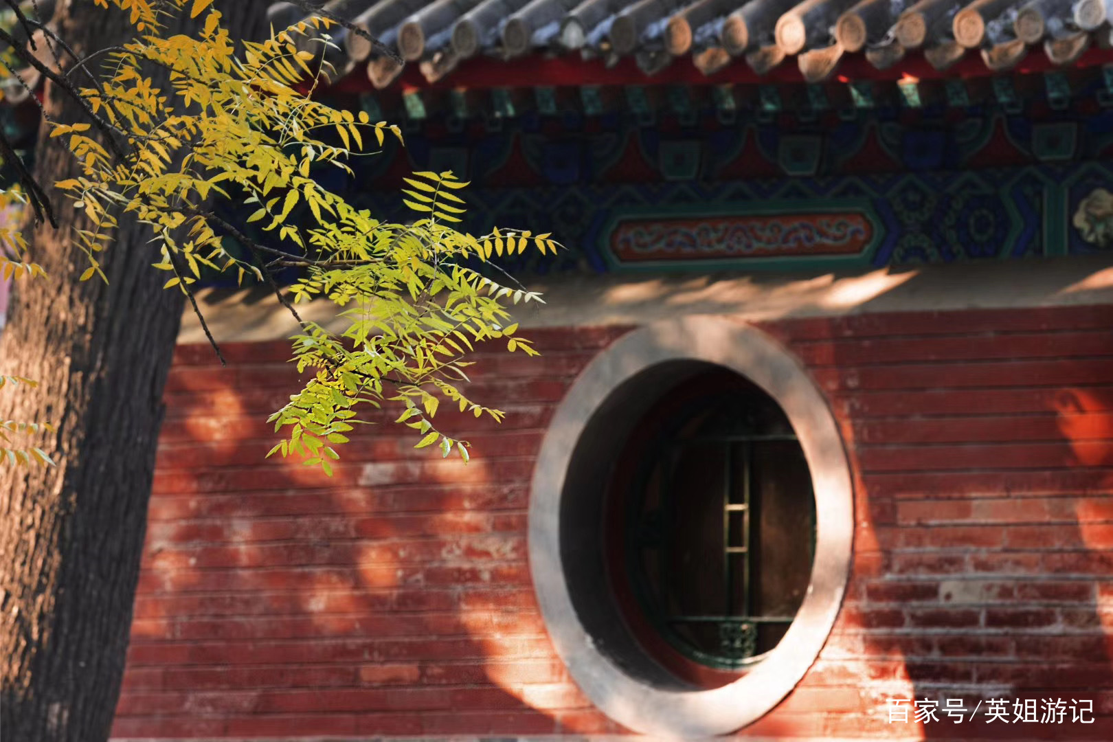 法源寺：佛教寻幽探古的胜地，曾因李敖的《北京法源寺》名声大噪_百科TA说