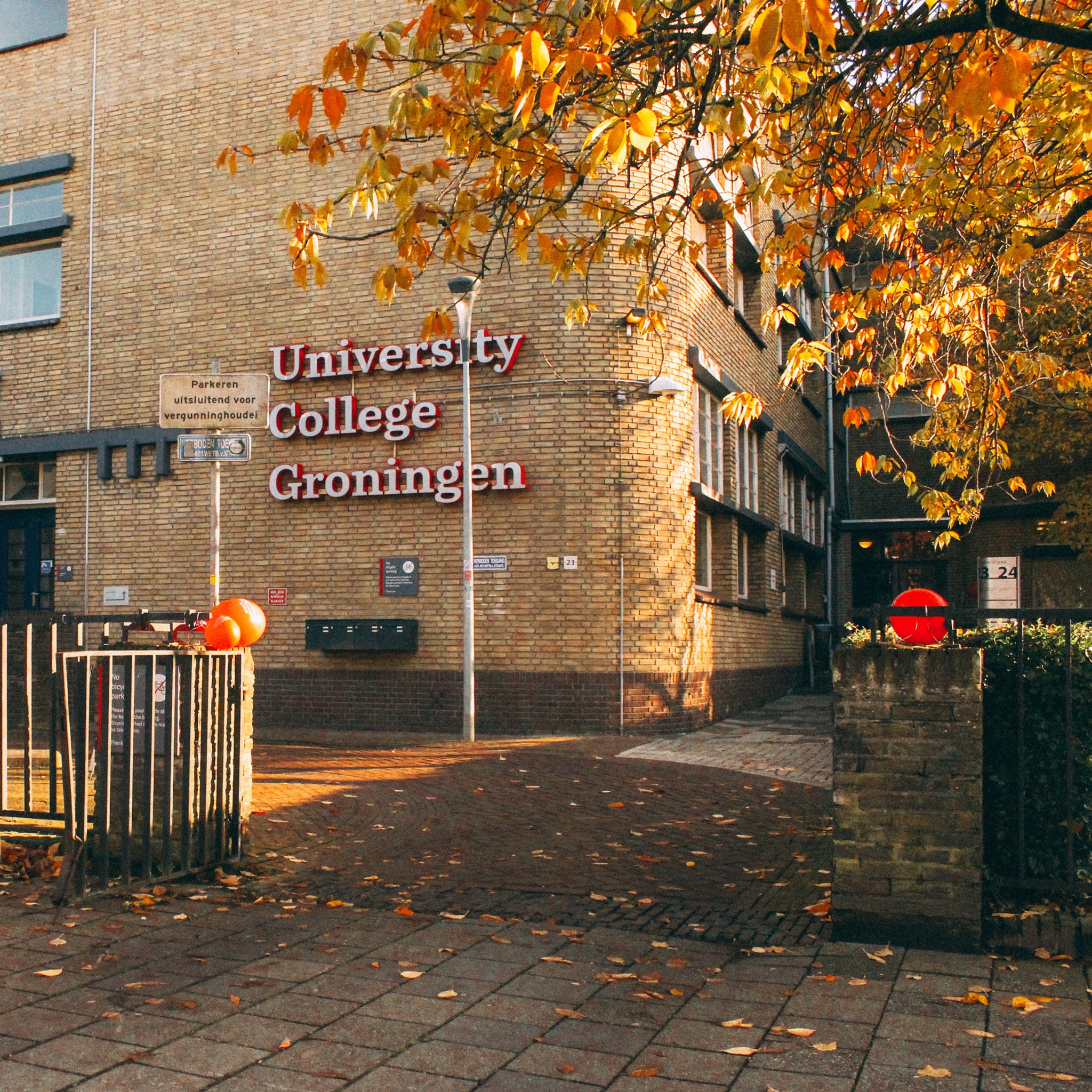 university of groningen