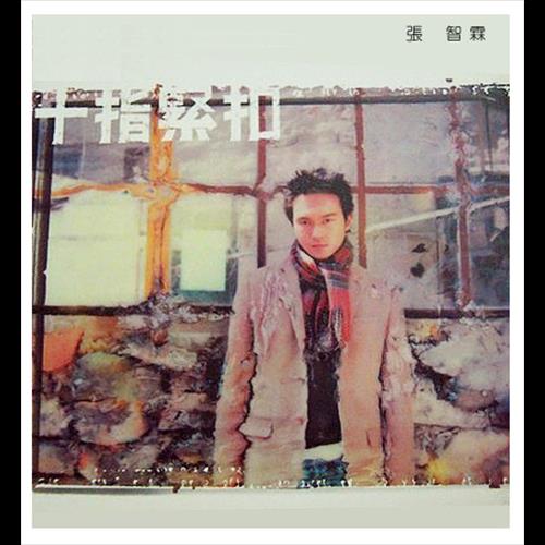 张智霖经典歌曲(张智霖经典歌曲粤语歌)