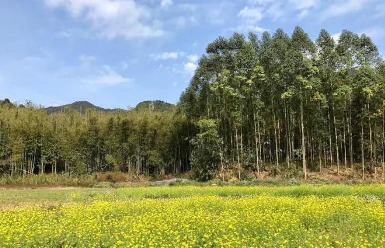  p>新江镇,隶属广东省韶关市 a target="_blank" href="/item/翁源县