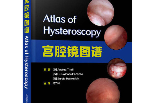 宫腔镜图谱