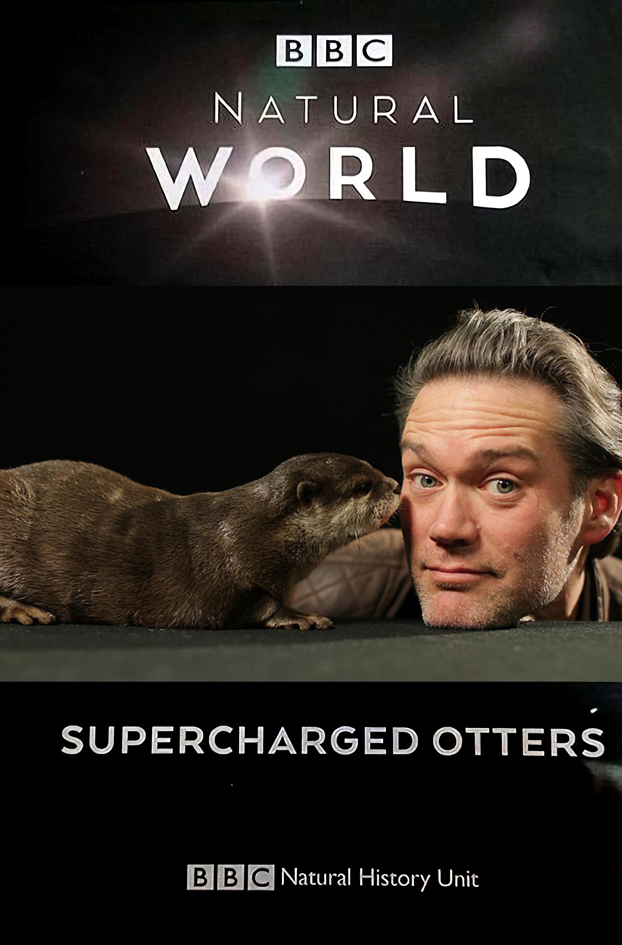 《bbc:超能水獭》是马克·惠勒执导的英国动物纪录片,该片于2017年