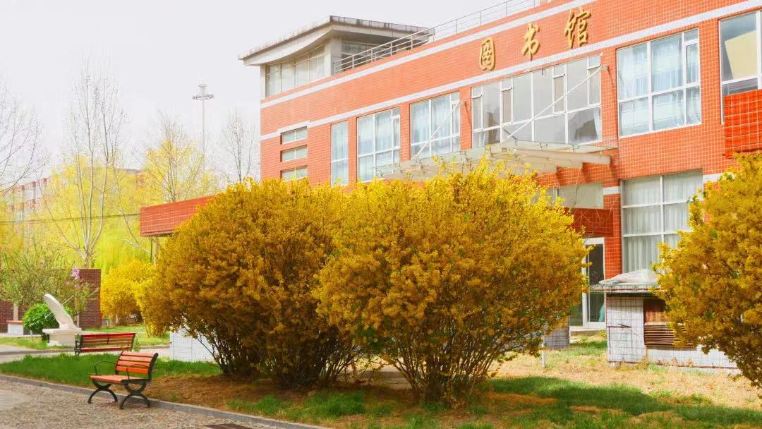 河北女子技术学院