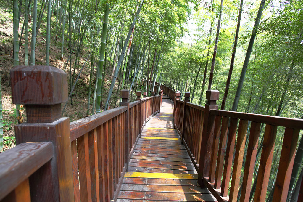 无锡竹海位于苏,浙,皖三省交界处的"中国著名陶都,太湖风景区的旅游